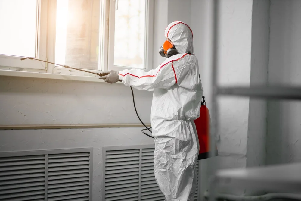 Professional mold remediation services in Whittaker, MI